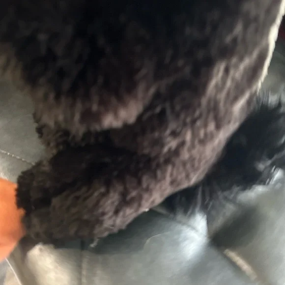 Fantastic Beasts Plush Niffler Harry Potter 11” Black Stuffed Animal - Picture 6 of 8